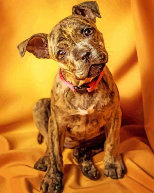 Brindle Pitbull Puppy Dog paint by numbers