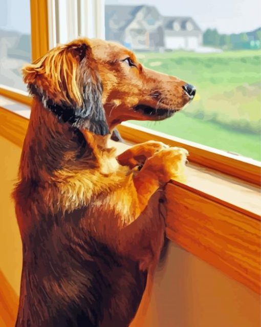Dachshund Miniature Looking Out A Window paint by numbers