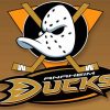 Ducks Nhl Logo paint by numbers