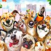 Funny Dogs And Cats paint by numbers