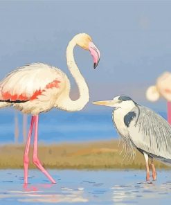 Heron And Flamingo Paint By Numbers