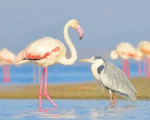 Heron And Flamingo Paint By Numbers