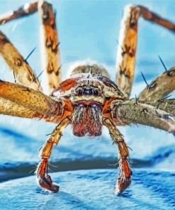 Huntsman Spider paint by numbers
