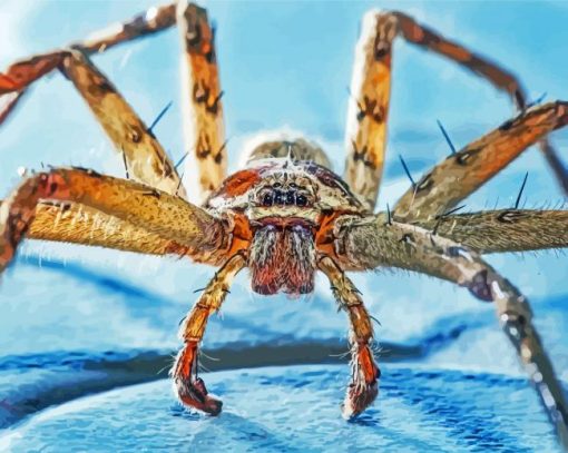 Huntsman Spider paint by numbers