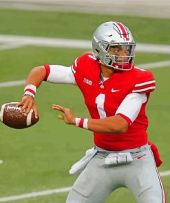 Justin Fields Ohio State Player Paint By Numbers