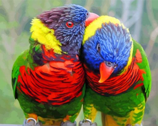 Lory Couple Birds paint by numbers