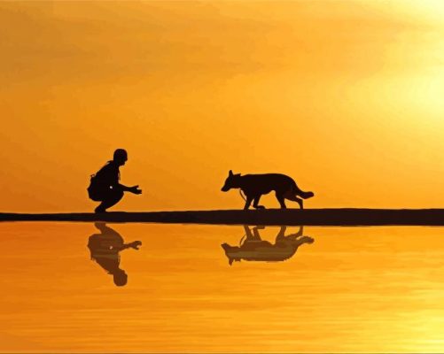 Man And Dog Silhouette Reflection paint by numbers