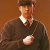Neville Longbottom Character paint by numbers