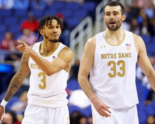 Notre Dame Fighting Irish Basketball Players paint by numbers