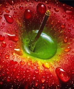 Red Apple With Water Drops Paint By Numbers