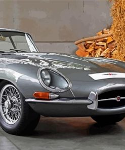 Silver Jaguar Type 1 Car paint by numbers