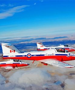 Snowbirds Airplanes paint by numbers