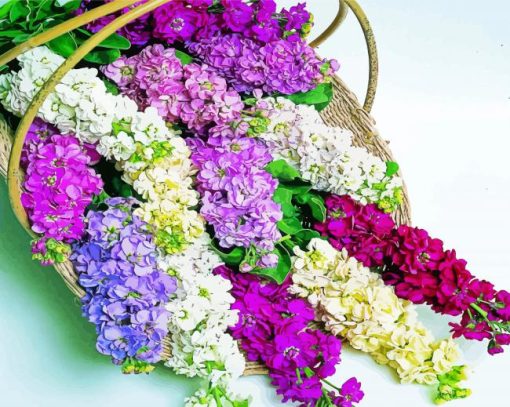 Stock Flowers Basket paint by numbers