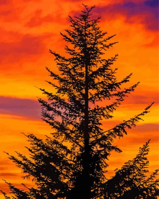 Balsam Fir Tree Silhouette paint by numbers