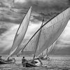 Black And White Sailboats paint by numbers