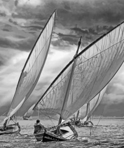 Black And White Sailboats paint by numbers