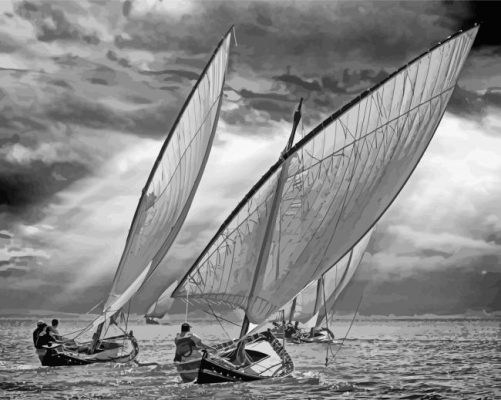 Black And White Sailboats paint by numbers