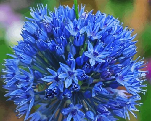Blue Allium Flower paint by numbers