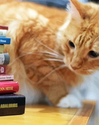 Cute Cat And Books paint by numbers