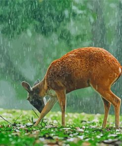 Cute Deer In Rain paint by numbers