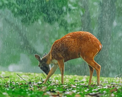 Cute Deer In Rain paint by numbers