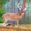 Cute Deer In Woods paint by numbers