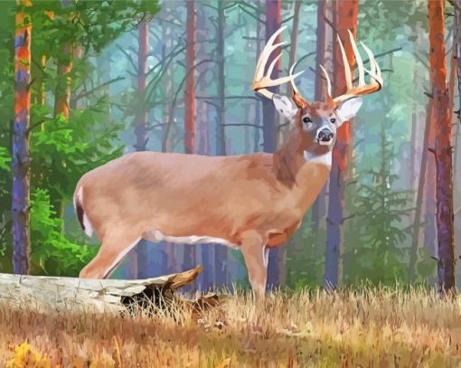 Cute Deer In Woods paint by numbers