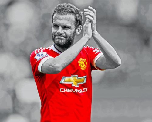 Monochrome Juan Mata paint by numbers