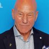 Patrick Stewart paint by numbers