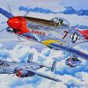 Tuskegee Airmen Military Airplanes Art paint by numbers