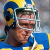 American Football Player Jack Youngblood Paint By Numbers