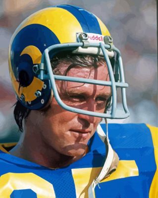 American Football Player Jack Youngblood Paint By Numbers