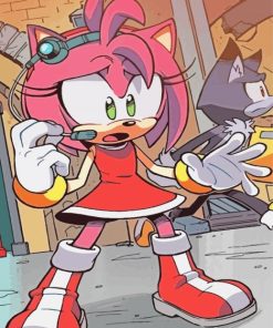 Amy Rose From Sonic Paint By Numbers