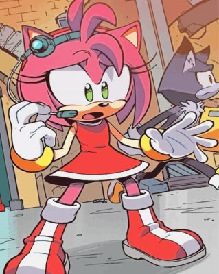 Amy Rose From Sonic Paint By Numbers