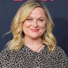 Amy Poehler Paint By Numbers