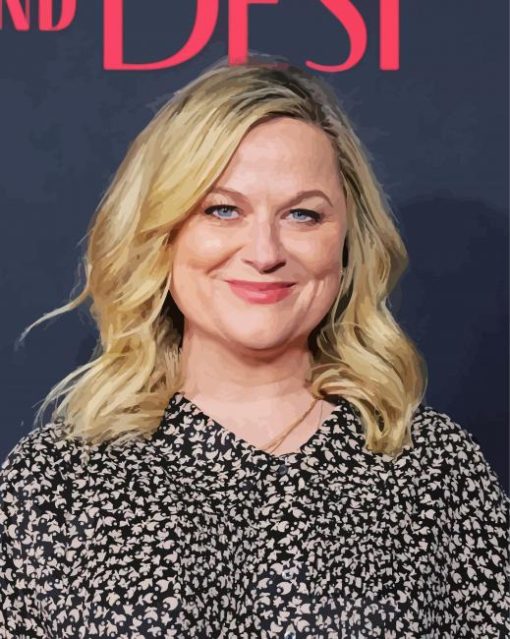 Amy Poehler Paint By Numbers