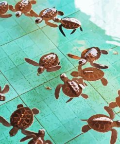 Baby Turtles In Water Paint By Numbers