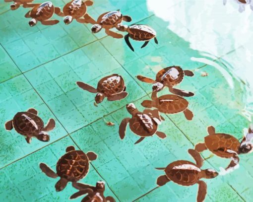 Baby Turtles In Water Paint By Numbers