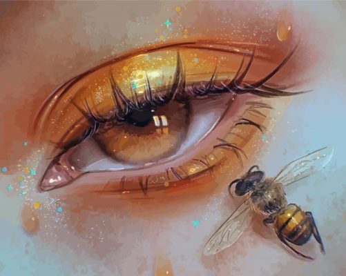 Bee Eye Paint By Numbers