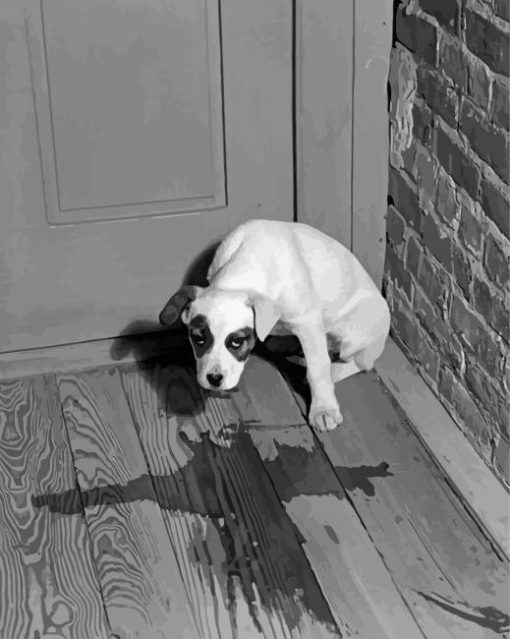 Black And White Sad Dog Paint By Numbers