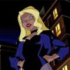 Black Canary Comic Book Character Paint By Numbers