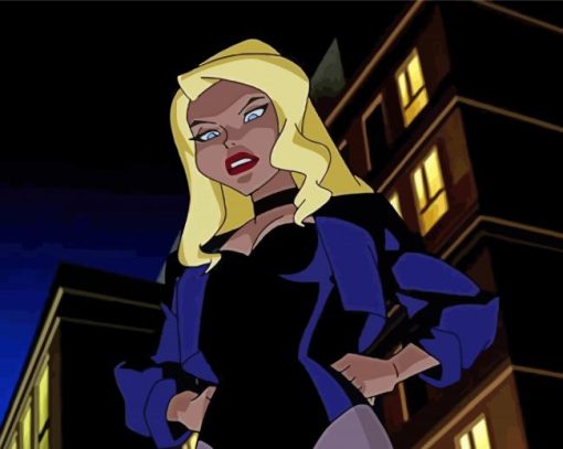 Black Canary Comic Book Character Paint By Numbers