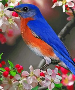 Blue Bird And Blossom Paint By Numbers