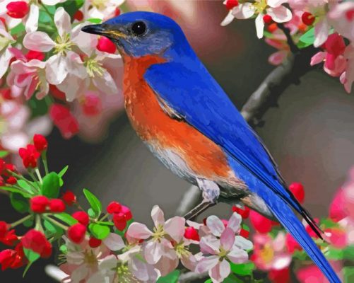 Blue Bird And Blossom Paint By Numbers