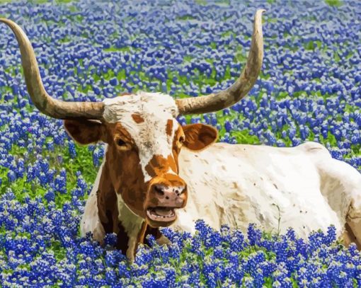 Bluebonnet And Longhorn Animal Paint By Numbers