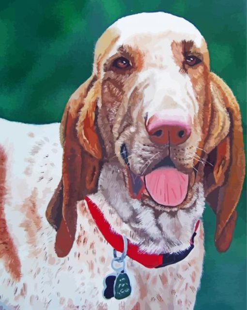 Bracco Italiano Dog Art Paint By Numbers