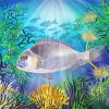 Bream Fish Underwater Paint By Numbers