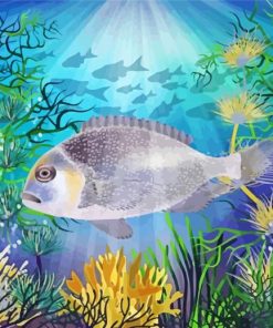 Bream Fish Underwater Paint By Numbers