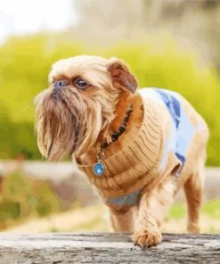 Brussels Griffon Dog Paint By Numbers