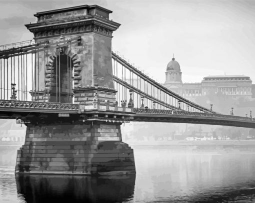 Budapest Black And White Bridge Paint By Numbers